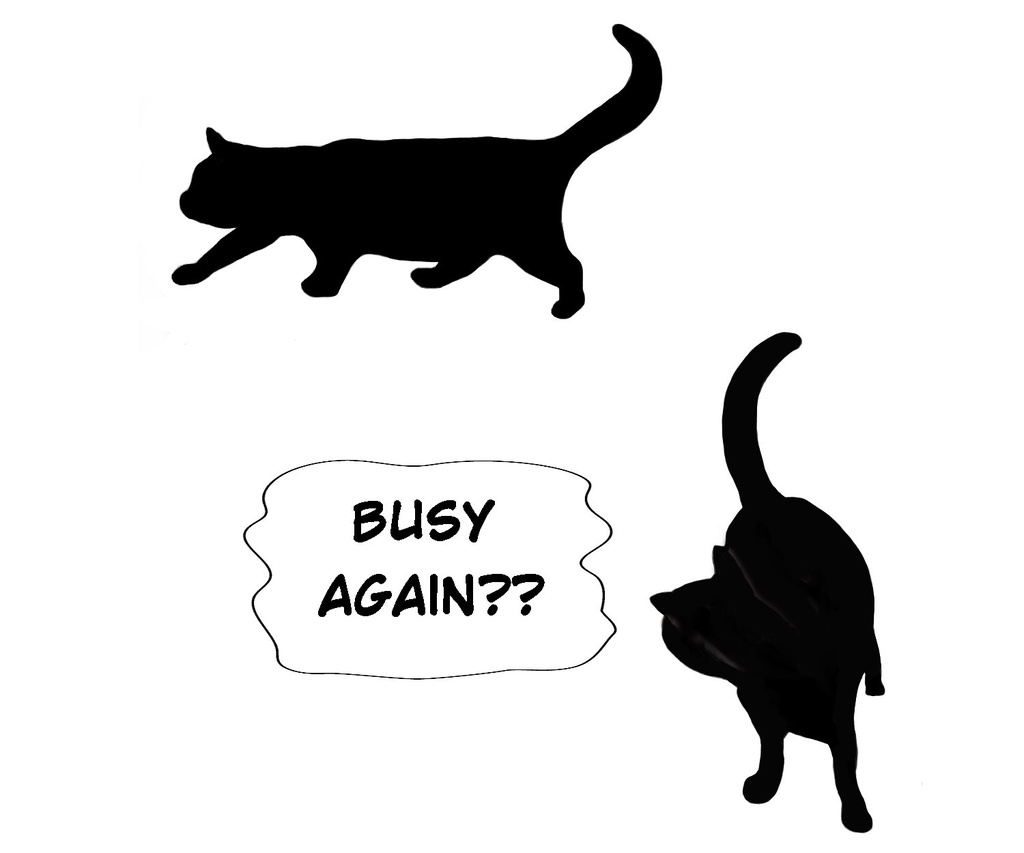 地域猫支援トートバッグ Bタイプ