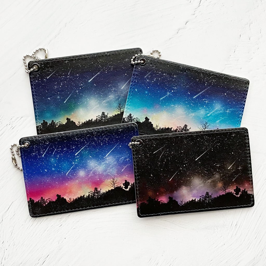 全4種 流星 パスケース 定期入れ