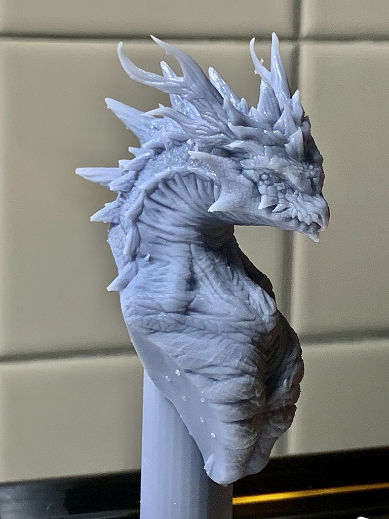 Dragon Bust(受注生産)