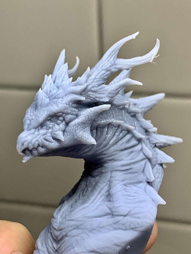 Dragon Bust（受注生産）