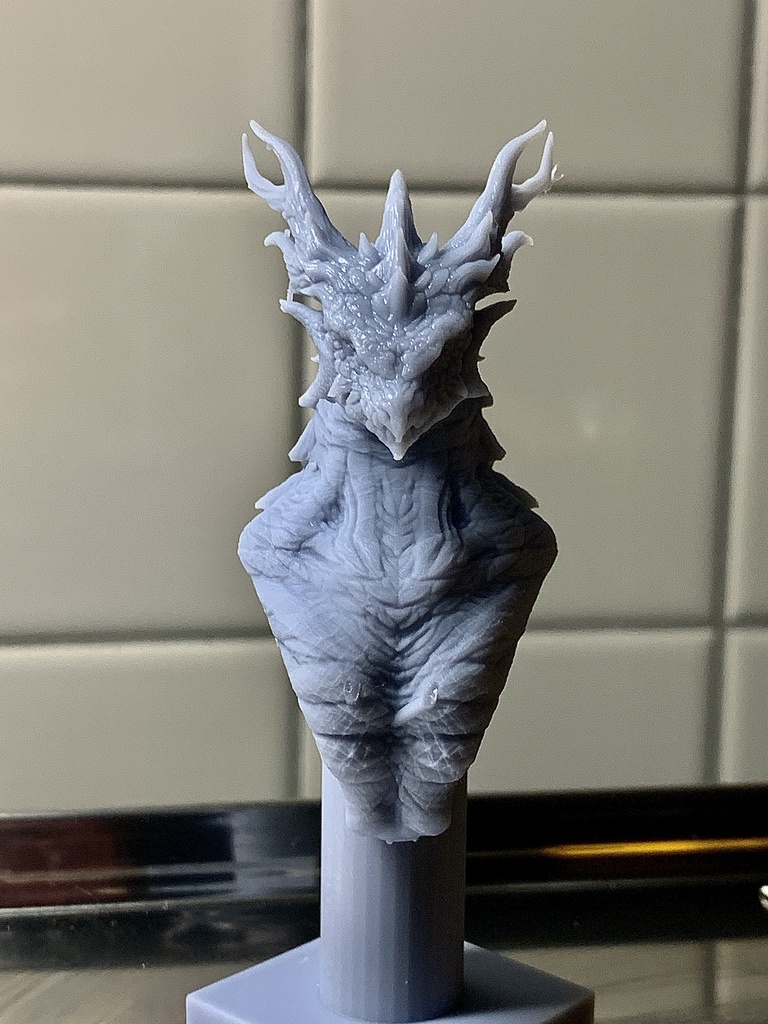 Dragon Bust(受注生産)