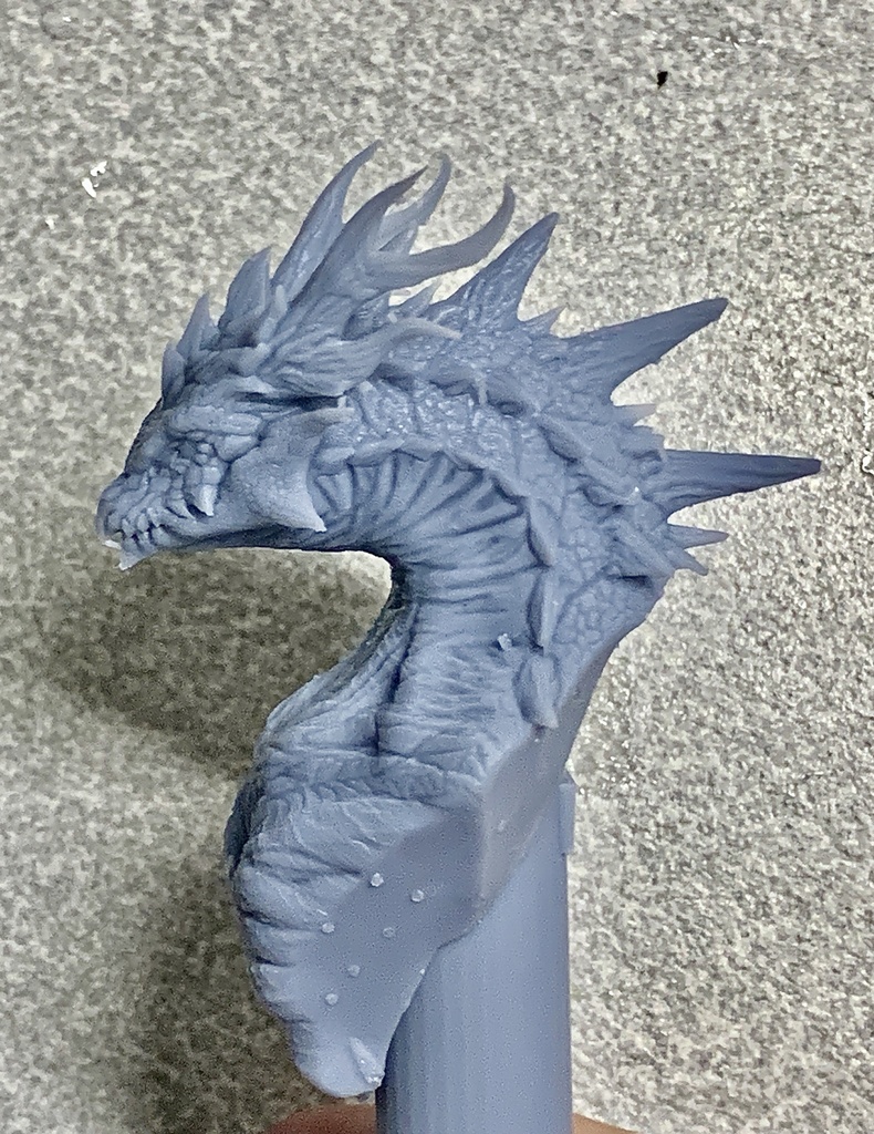 Dragon Bust(受注生産)