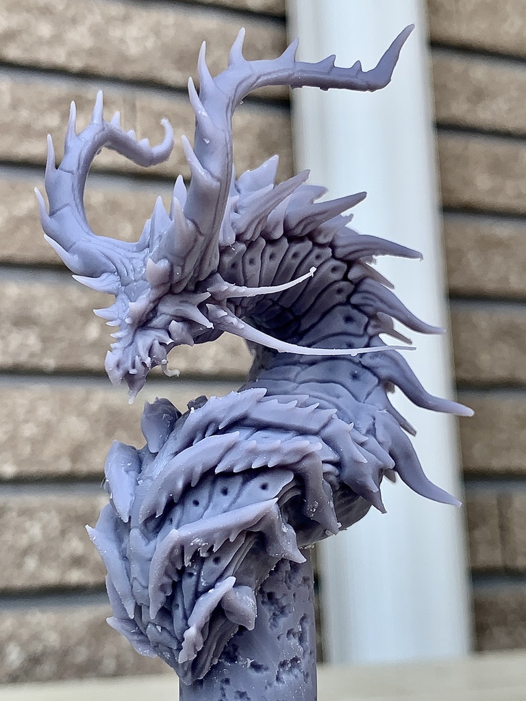 【Dragon bust】クラストドラゴン