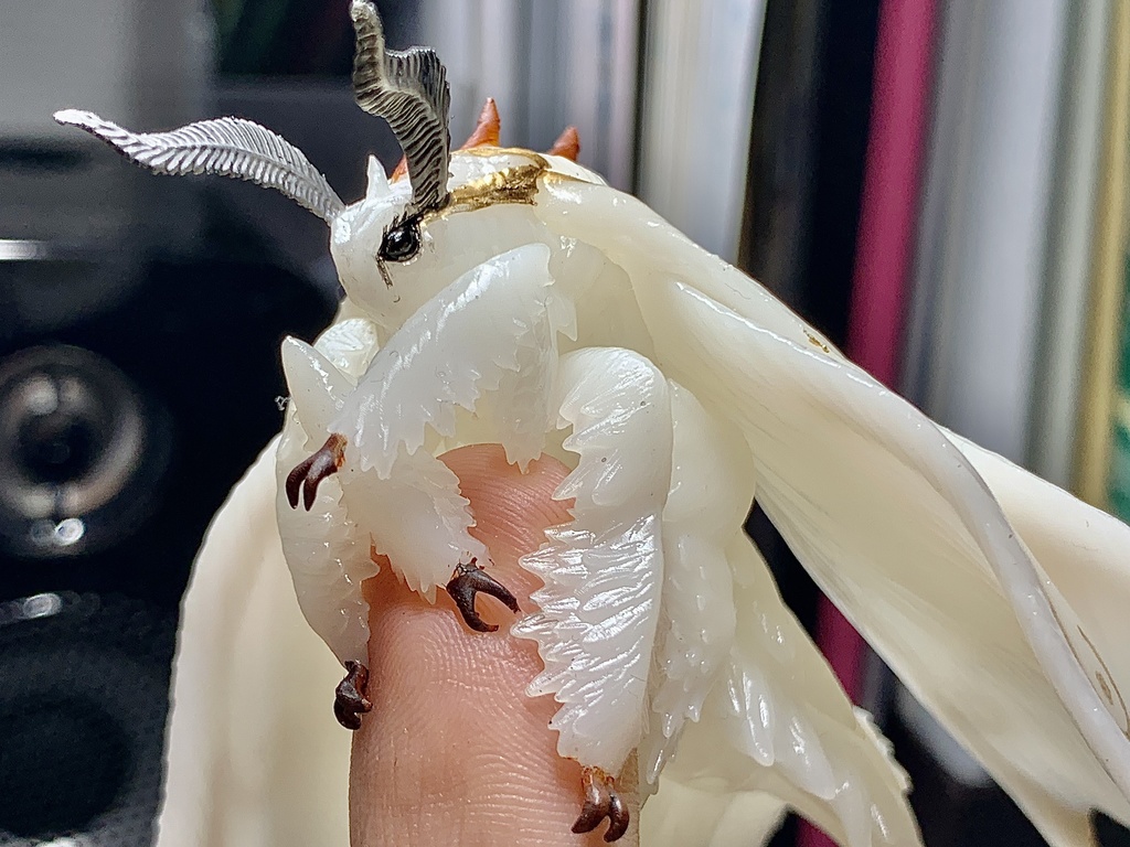 もふもふ蛾の指人形【簡易塗装版】受注生産