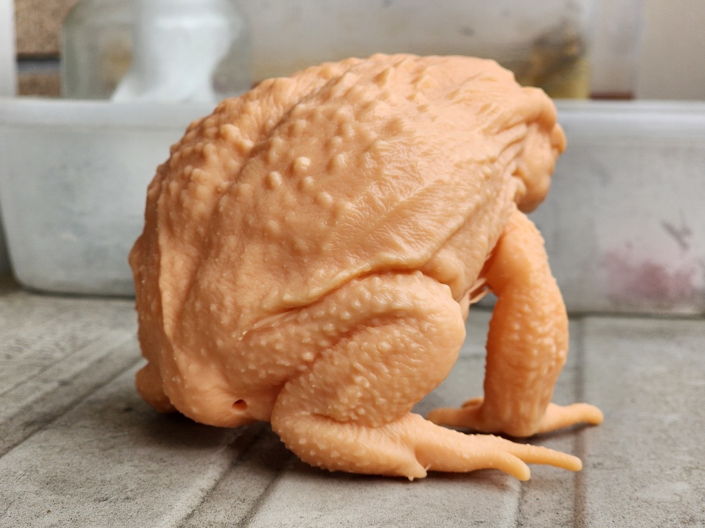 ヒキガエル 3Dプリンタ出力品ガレージキット