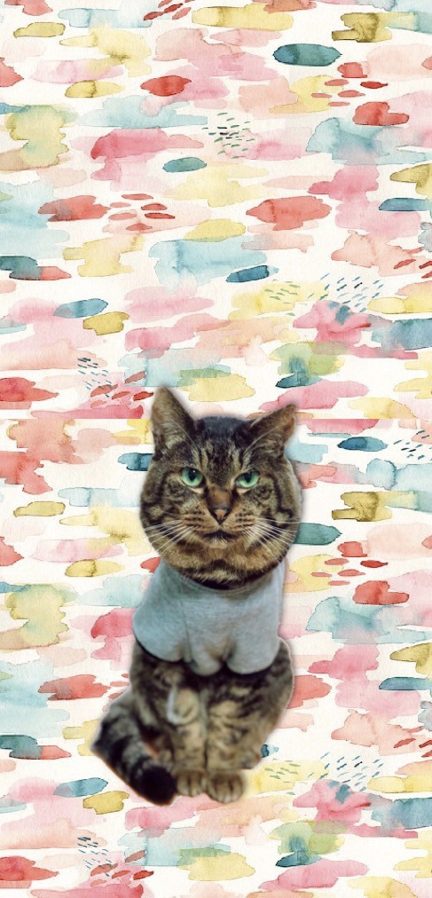 おすまし手帳ケース