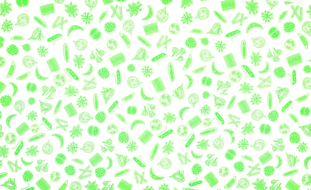 微生物Androidケース 白