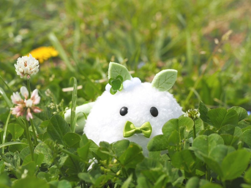 クローバーもす