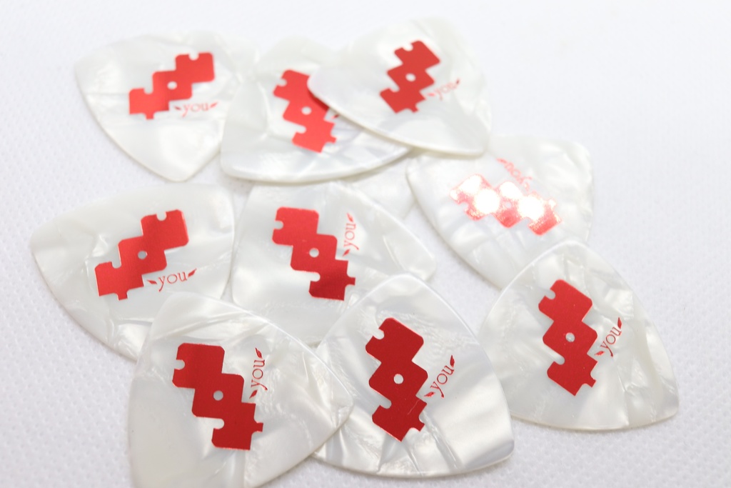 ピックだけセット