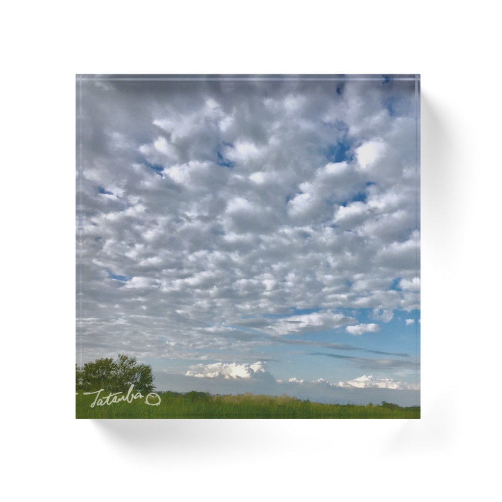 ひつじ雲ブロック vol.1