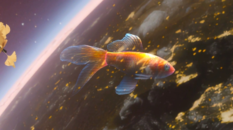 【VRChat】動く金魚|UnityPackage + Blender