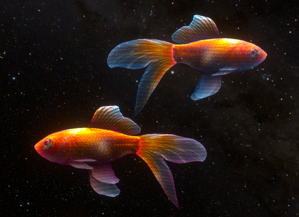 【VRChat】動く金魚｜UnityPackage + Blender