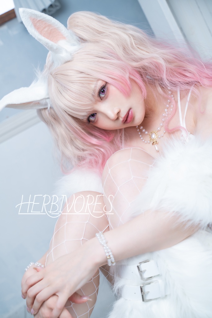 C100写真集「HERBIVORES」