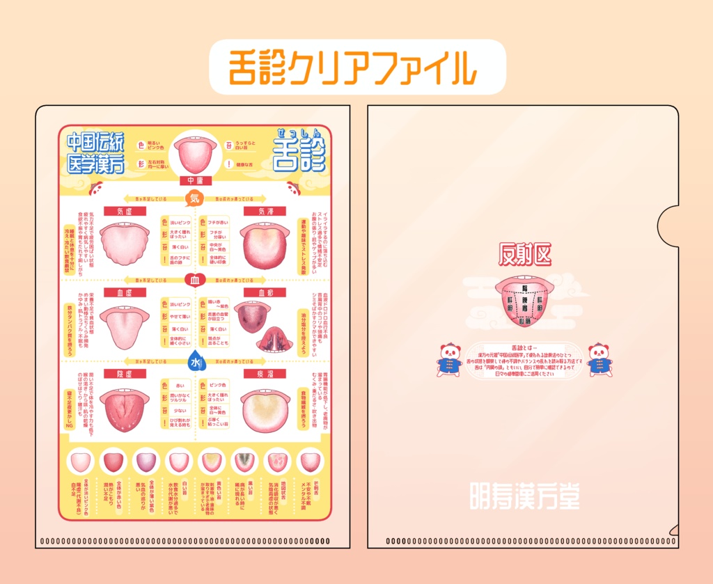 舌診クリアファイル