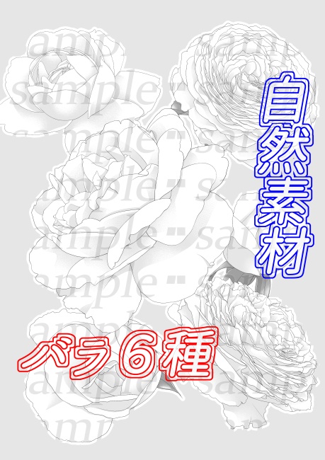 自然素材-バラ6種セット