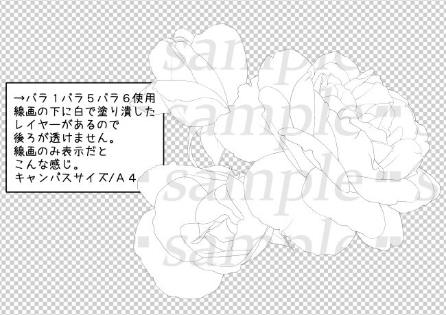 自然素材-バラ6種セット