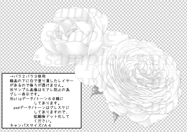 自然素材-バラ6種セット