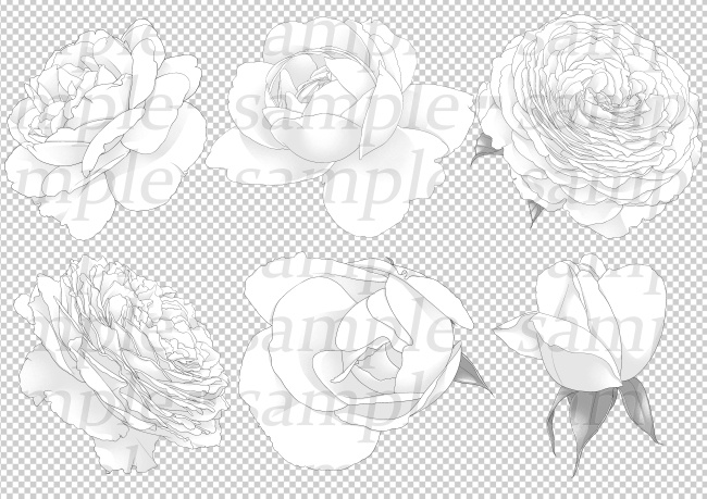 自然素材-バラ6種セット