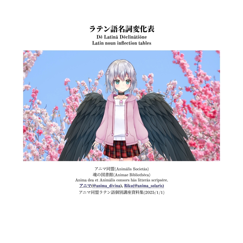 アニマのラテン語名詞変化表