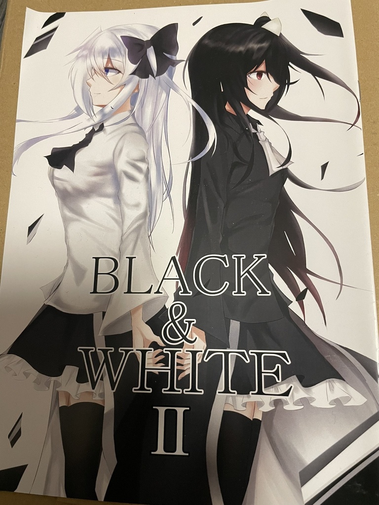 BLACK&WHITEⅡ