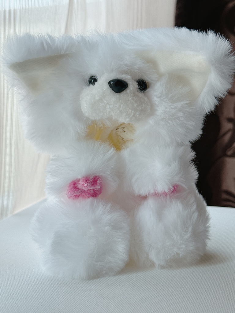 ポメぬ✂️サマーカット