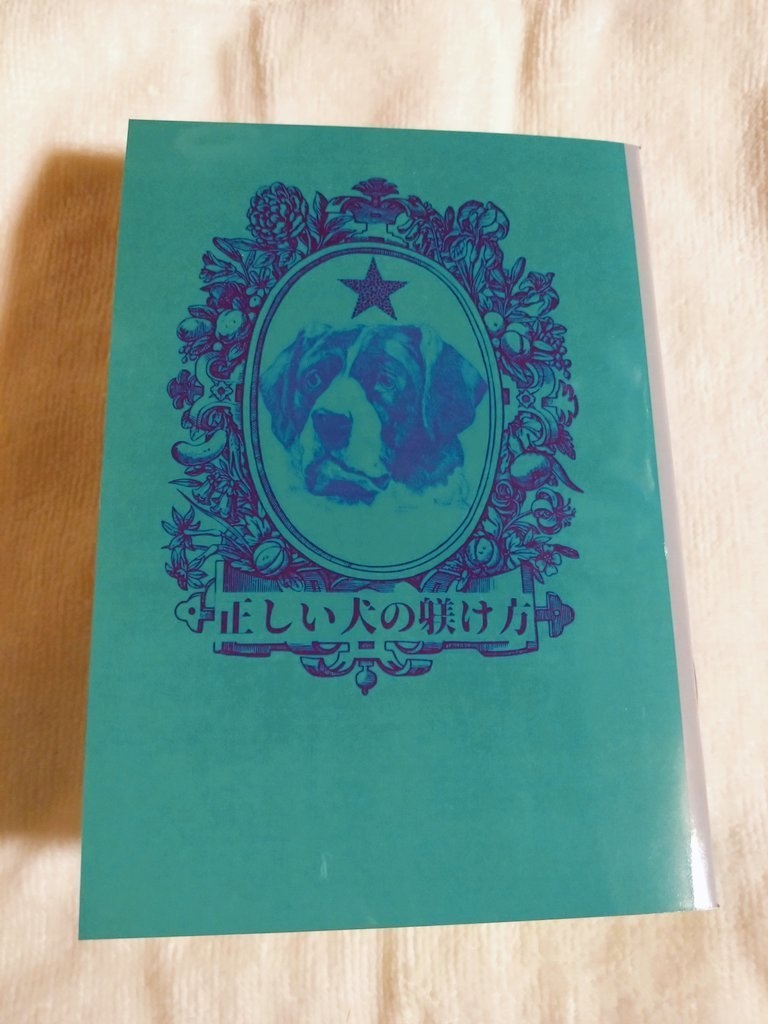 正しい犬の躾け方