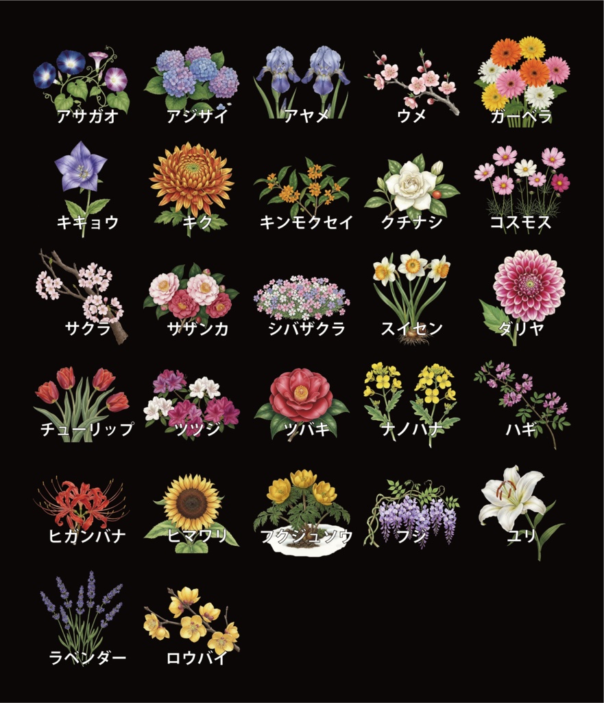 日本で著名な花27種類