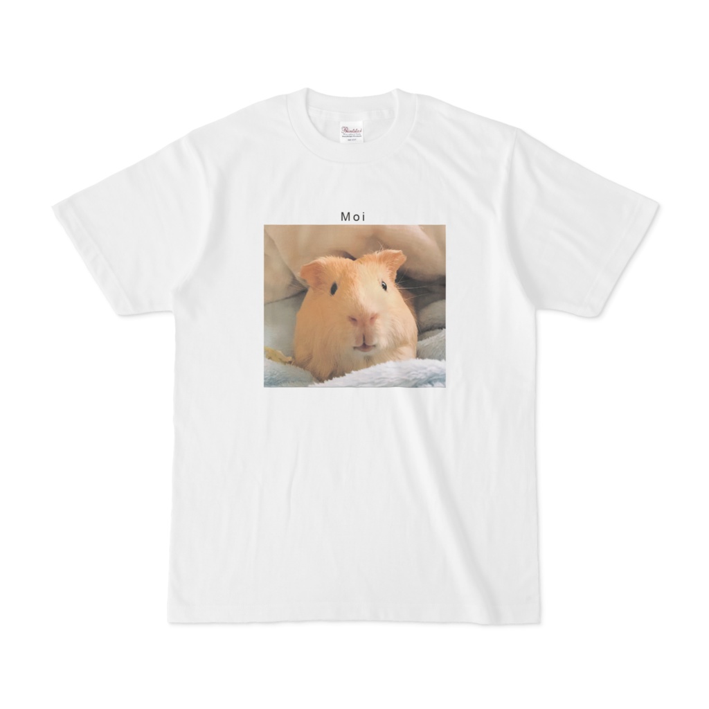モイちゃんのTシャツ（写真）