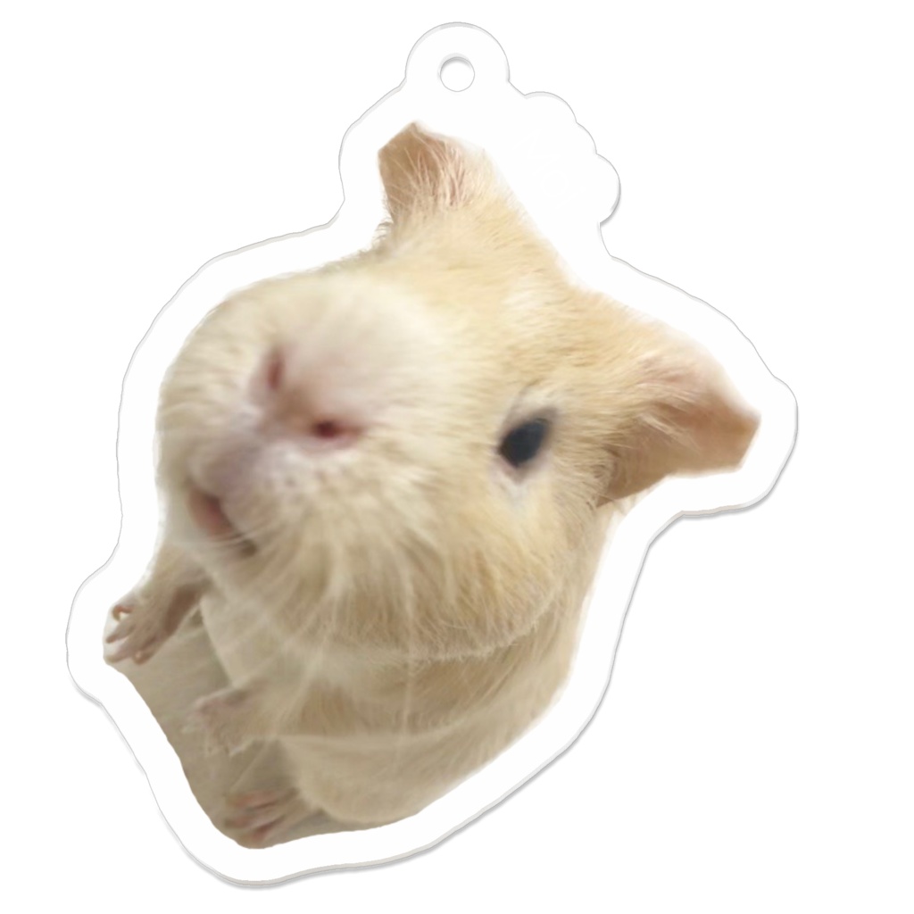 モイちゃんのアクリルキーホルダー 「すたんだっぷモイちゃん01」