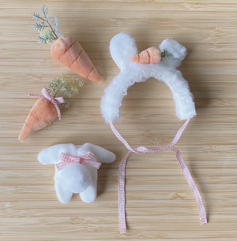 Rabbit set 🥕