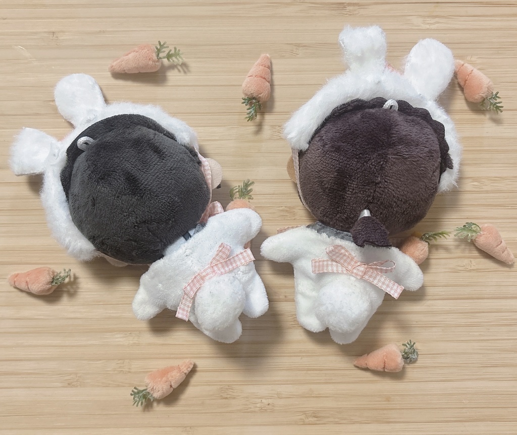 🐇Rabbit gardenparty 🥕set