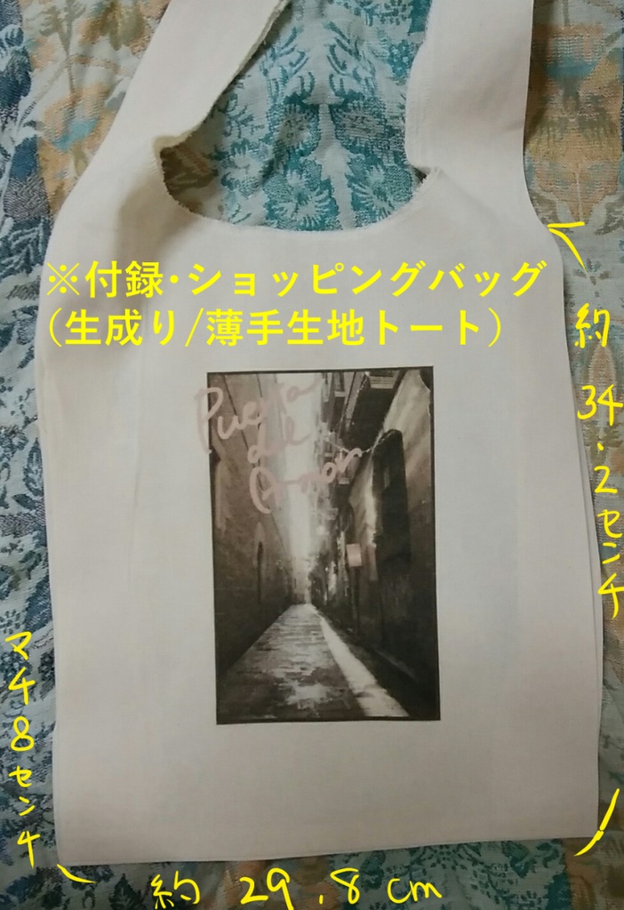 Puerta del Amor!-アイ ノ イリグチ- (バルセロナOTYR聖地写真集)