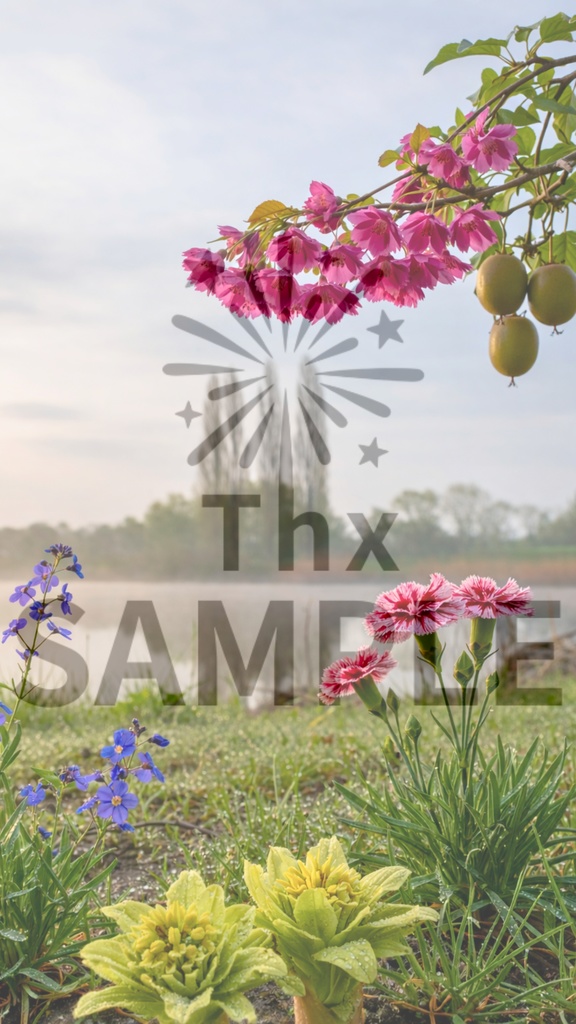 地球が咲かせる詩|2026年2月16日