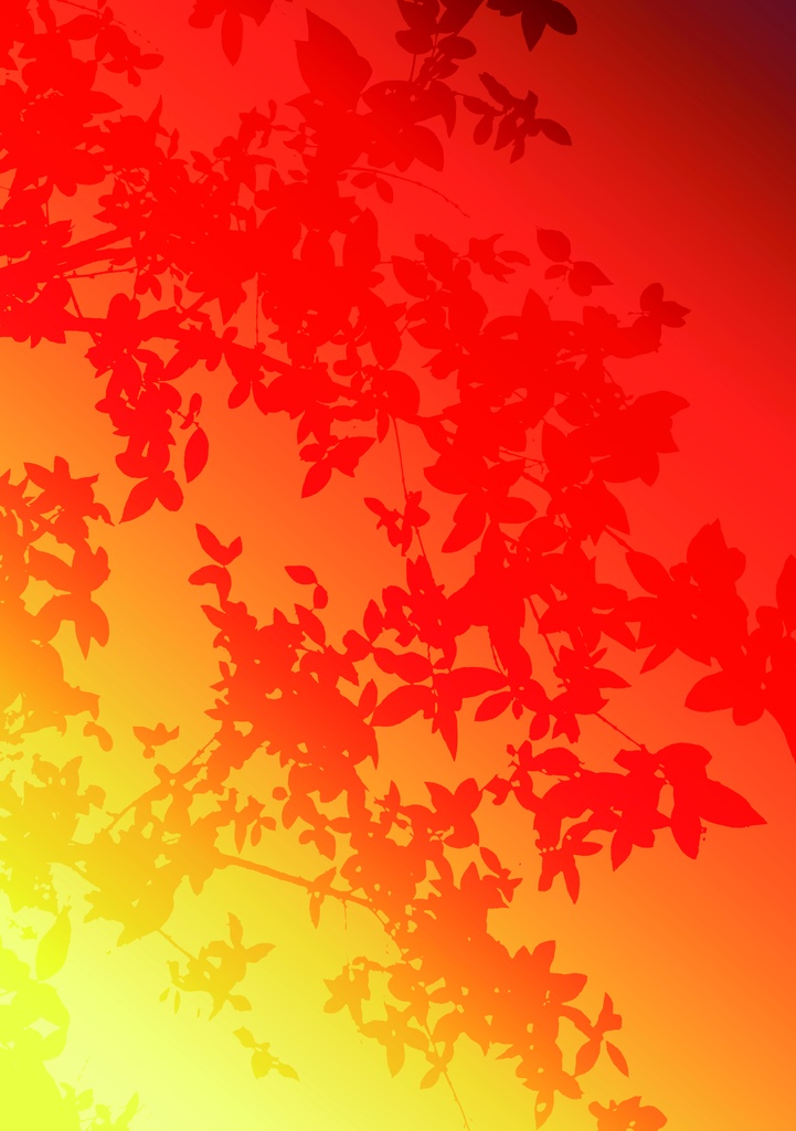 色々使える 木のシルエット 25点セット