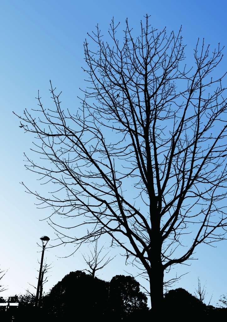 色々使える 木のシルエット 25点セット