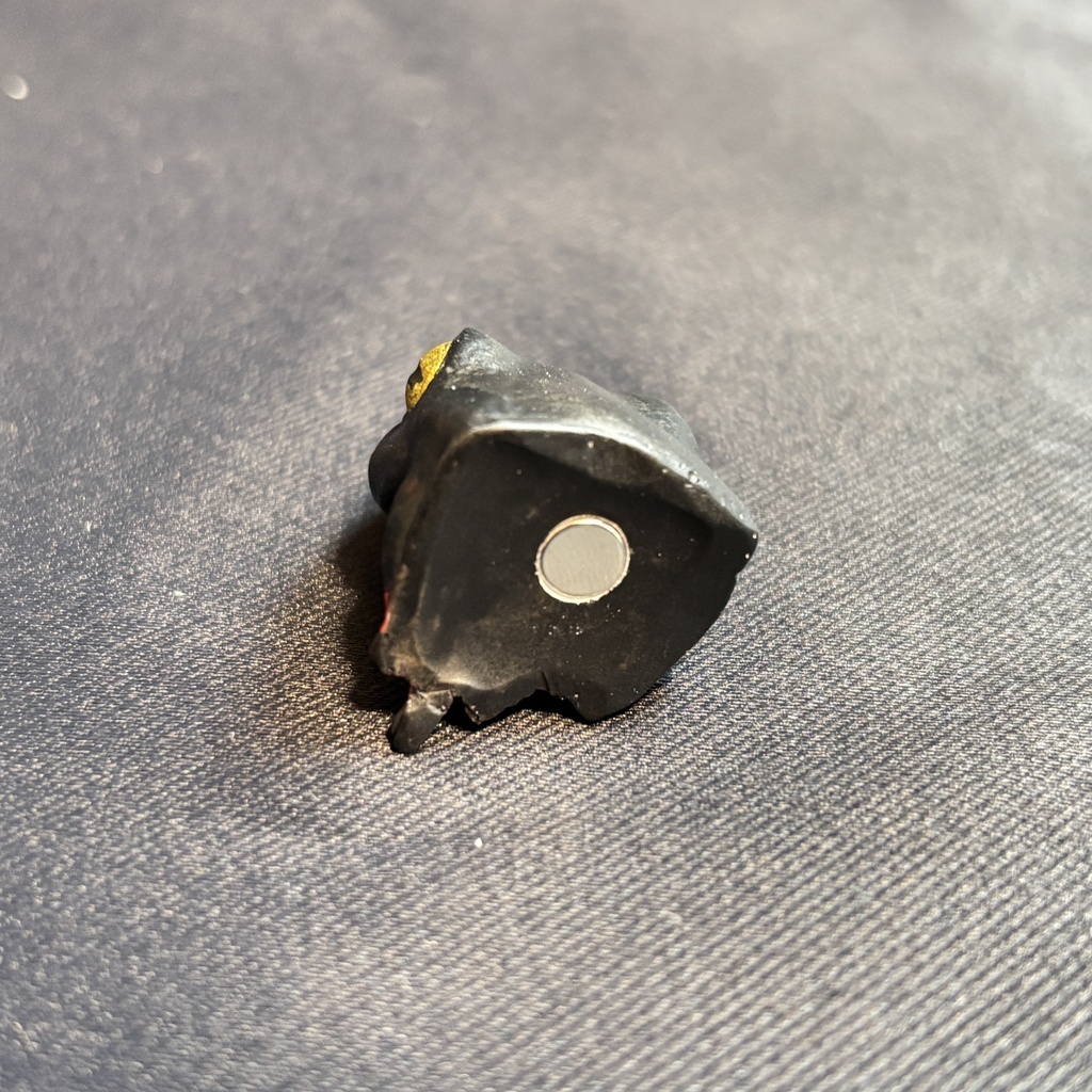 アカハライモリマグネット