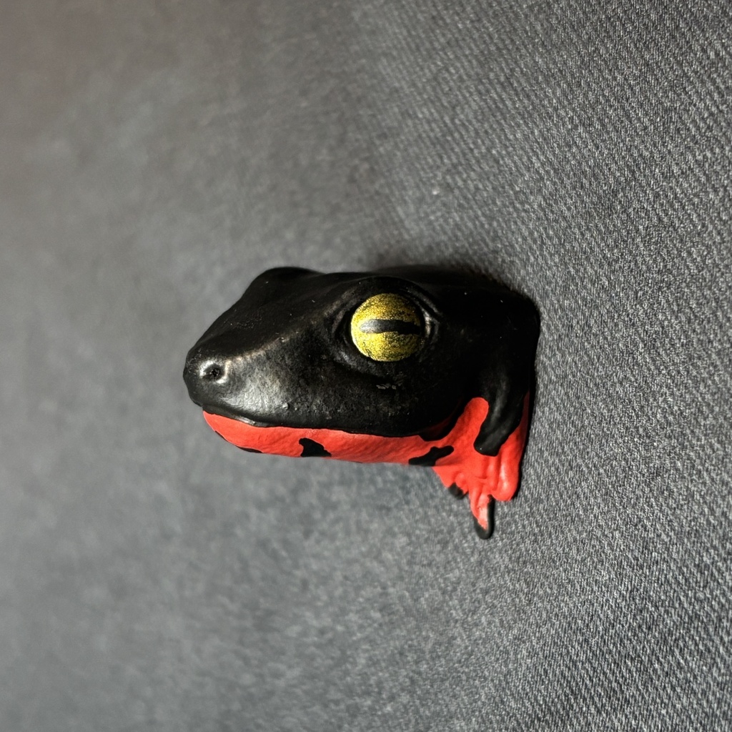 アカハライモリマグネット