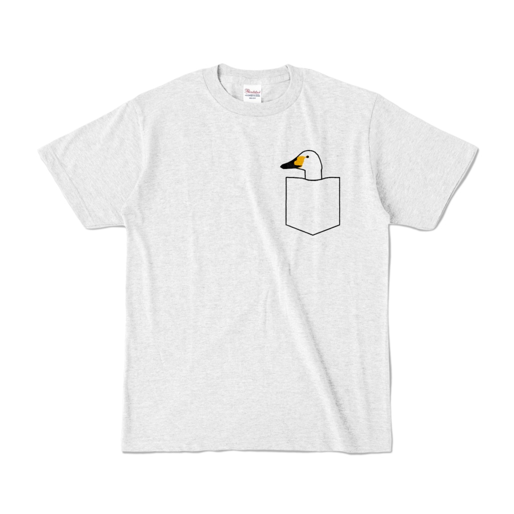 Swan in the pocket