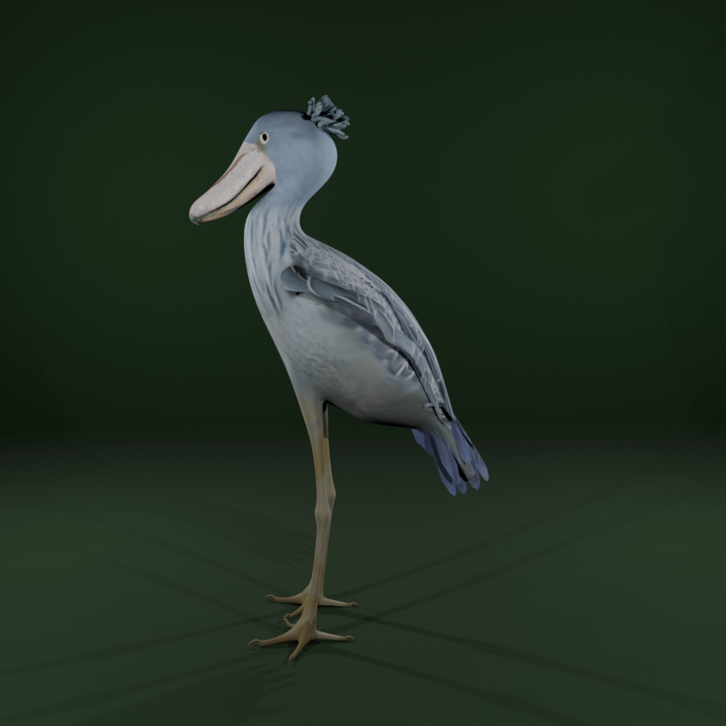 【3Dモデル】ハシビロコウ