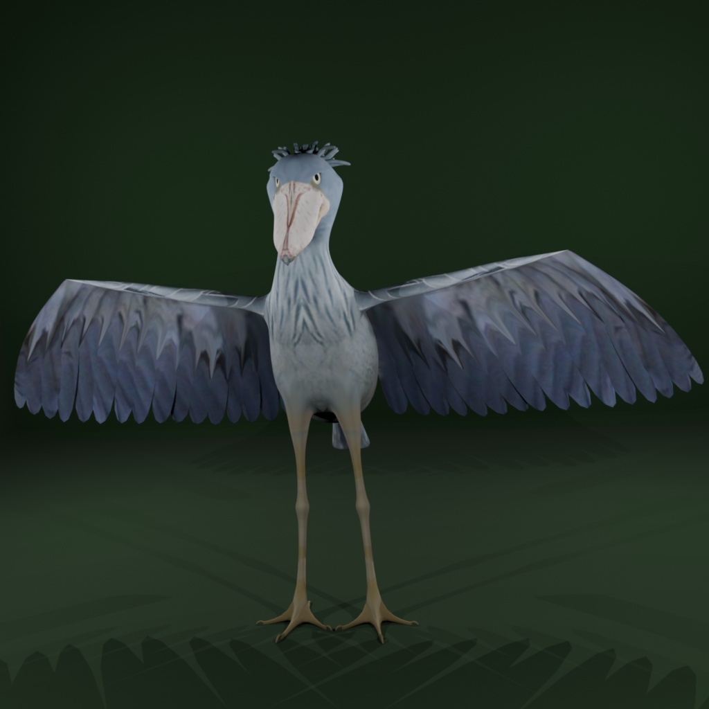 【３Dモデル】ハシビロコウ