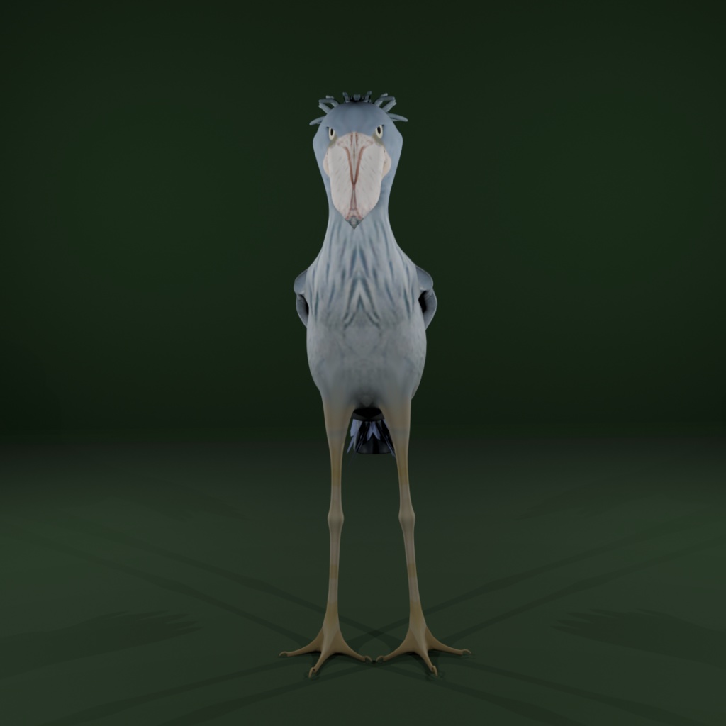 【3Dモデル】ハシビロコウ