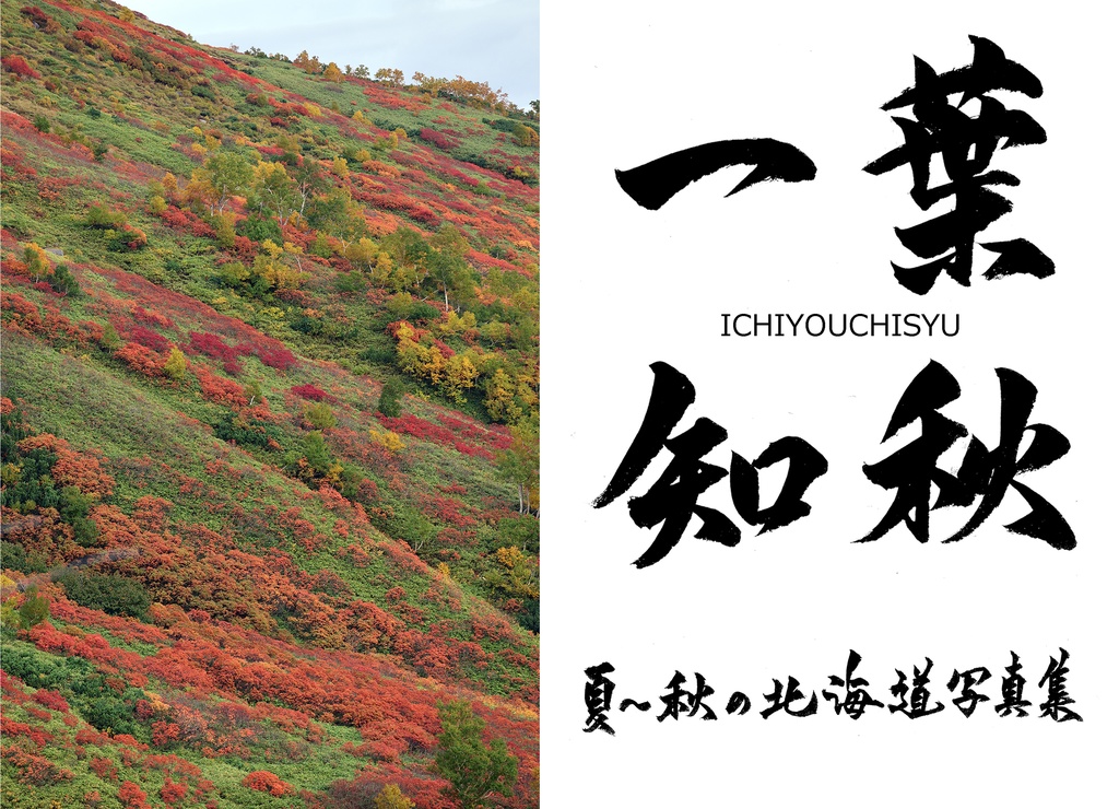 一葉知秋　夏～秋の北海道写真集