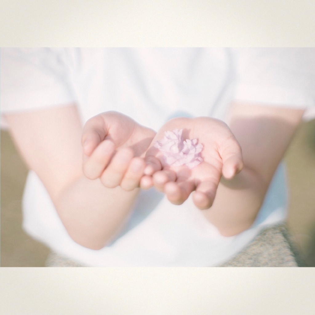 2nd Full Album「桜梅桃李」