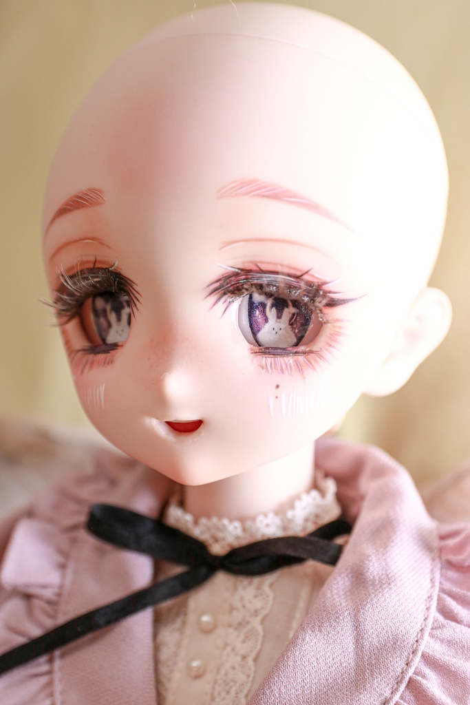 【展示】DDH-22