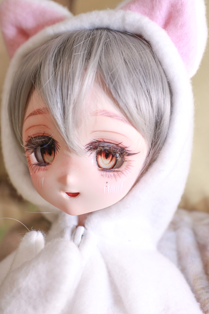 【展示】DDH-22