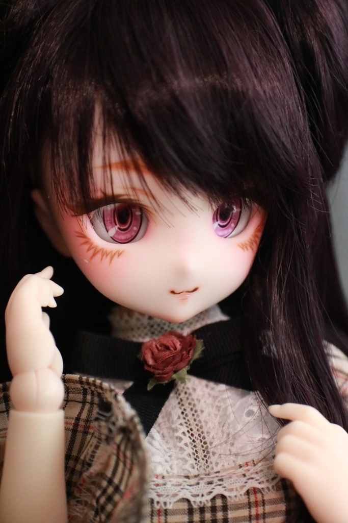 【展示】DDH-27