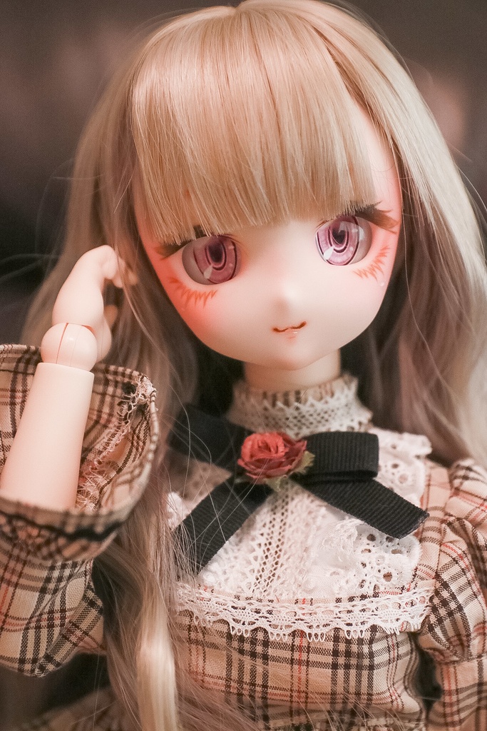 【展示】DDH-27