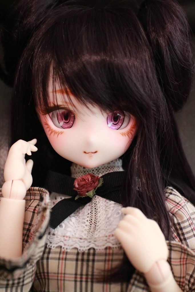 【展示】DDH-27