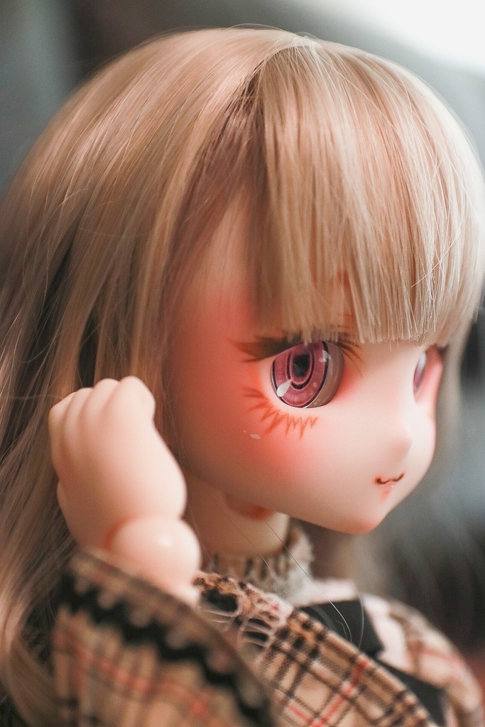 【展示】DDH-27