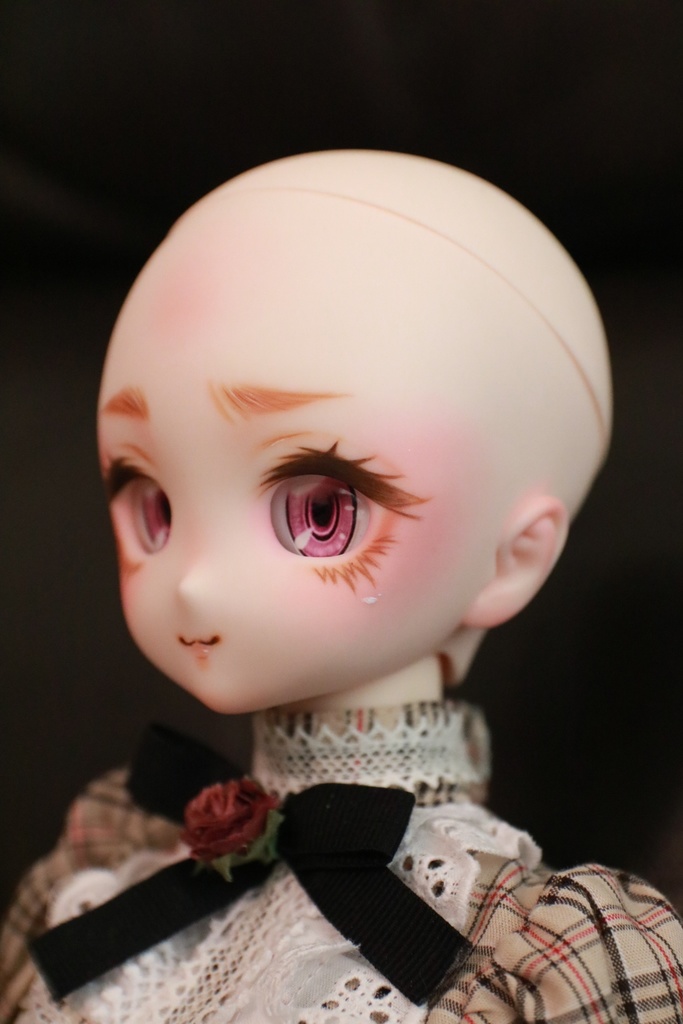 【展示】DDH-27